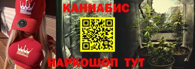ГАЛЛЮЦИНОГЕННЫЕ ГРИБЫ Кингисепп